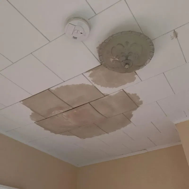 Ceiling Water Damage Repair in Green Forest, AR