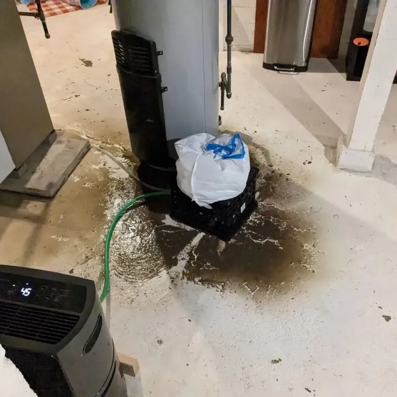 Sewage Backup Cleanup Service in Green Forest, AR